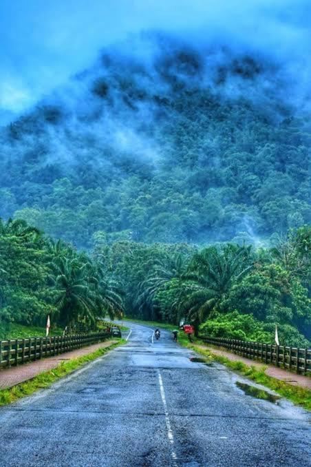 Rain Drops Premium Villas - Athirappilly Buitenkant foto